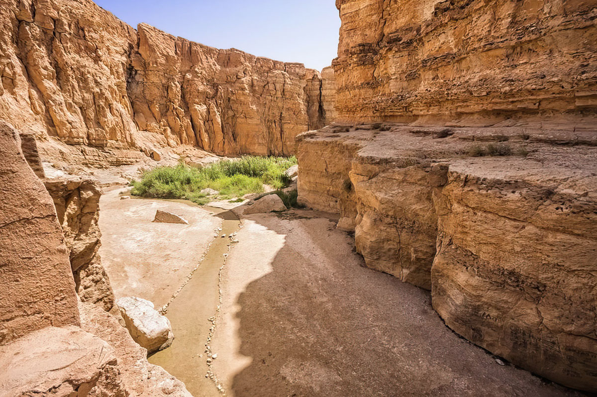 Tamerza, an oasis in the Tunisian desert